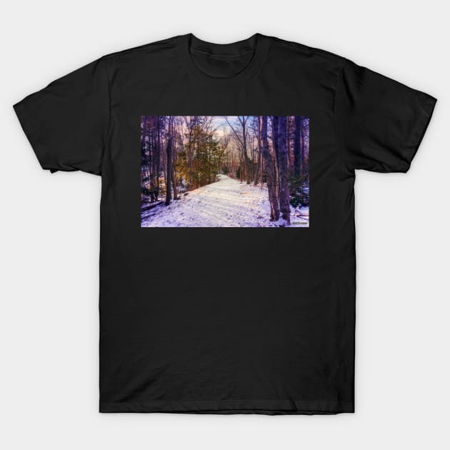 Hemlock Ravine Park T-Shirt by kenmo